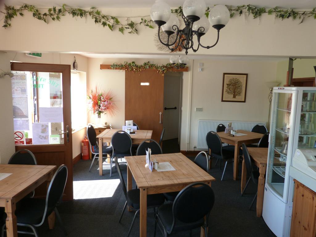 The Sycamore Tree Couette-café